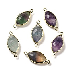 Fluorite Natural Fluorite Faceted Connector Charms, Rack Plating Brass Horse Eye Links, Golden, 25x11.5x5.5mm, Hole: 1.6mm