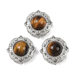 Тигровый глаз Многорядные звенья из натурального тигрового глаза, Латунные коннекторы, платина, стойки покрытие, 18x18x11 мм, отверстие : 2~3 мм