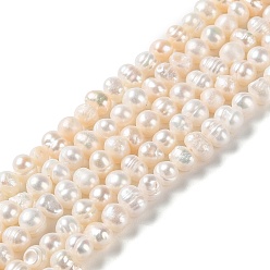PapayaWhip Natural Cultured Freshwater Pearl Beads Strands, Potato, Grade A, PapayaWhip, 5~6.5x4~5mm, Hole: 0.6mm, about 70pcs/strand, 13.58~13.78 inch(34.5~35cm)