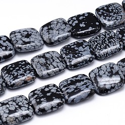 Snowflake Obsidian Natural Snowflake Obsidian Square Bead Strands, 20x20x6mm, Hole: 2mm, about 20pcs/strand, 15.7 inch