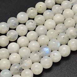 Rainbow Moonstone Round Grade A Natural Rainbow Moonstone Bead Strands, 8.5mm, Hole: 1mm, about 42pcs/strand, 15.5 inch