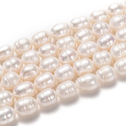 Bisque Natural Cultured Freshwater Pearl Beads Strands, Rice, Bisque, 10~11x8~9mm, Hole: 0.7mm, about 34pcs/strand, 14.17 inch(36cm)
