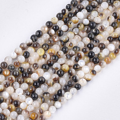 Black Black Lip Shell Beads Strands, Round, Black, 3.5~4mm, Hole: 0.7mm, about 96pcs/strand, 15.3 inch