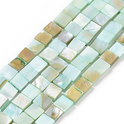 Turquoise Natural Freshwater Shell Beads Strands, Dyed, Square, Turquoise, 6.5x6.5x2.5mm, Hole: 0.8mm, about 60~61pcs/strand, 15.39''(39.1cm)