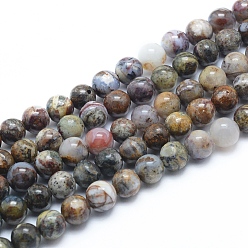 Pietersite Natural Pietersite Beads Strands, Round, 8mm, Hole: 0.8mm, about 49pcs/strand, 15.75 inch(40cm)