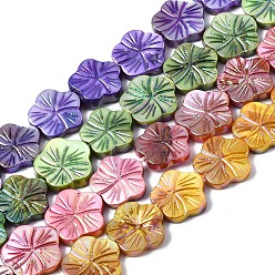 Mixed Color Natural Freshwater Shell Beads Strands, AB Color Plated, Dyed, Flower, Mixed Color, 12.5x13x2.5mm, Hole: 0.7mm, about 30pcs/strand, 14.25~14.76 inch(36.2~37.5cm)