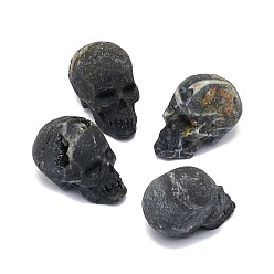 Druzy Agate Natural Druzy Agate Sculpture Display Decorations, for Home Office Desk, Skull, Halloween Theme, 26~18x17.5~19x22~27mm