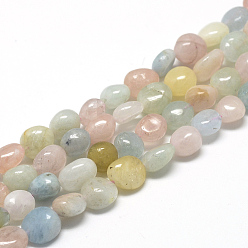 Morganite Natural Morganite Beads Strands, Oval, 6~10x4~7x4~7mm, Hole: 1mm, about 43~62pcs/strand, 15.7 inch
