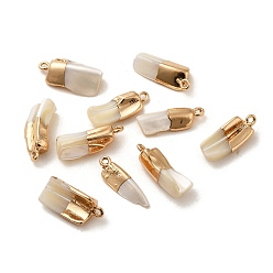 Light Gold Natural Trochus Shell Pendants, with Brass Findings, Nuggets Charms, Light Gold, 18.5~23x7~10x4~7mm, Hole: 1.6~1.8mm