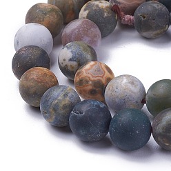 Ocean Jasper Natural Ocean Agate/Ocean Jasper Beads Strands, Frosted, Round, 10mm, Hole: 1mm, about 38pcs/strand, 14.9 inch(38cm)
