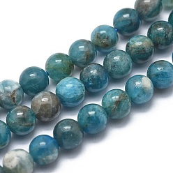 Apatite Natural Apatite Beads Strands, Grade AB, Round, 6mm, Hole: 1mm, about 68pcs/strand, 14.9 inch(38cm)