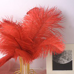 Red Ostrich Feather Ornament Accessories, for DIY Costume, Hair Accessories, Backdrop Craft, Red, 200~250mm