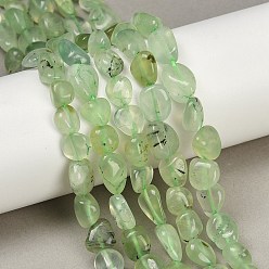 Пренит Природные пренит нитей бисера, самородки, 8~15x7~12x4~12 мм, отверстие : 1 мм, около 30~45 шт / нитка, 15.7