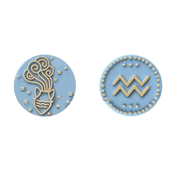 Aquarius Twelve Twelve Constellations Food Grade Eco-Friendly Silicone Focal Beads, Aquarius, 25mm