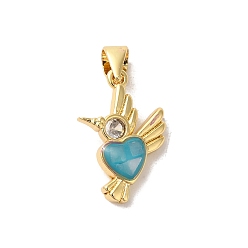 Темно-Голубой Стойки обшивки латунь кубического циркония подвески, с эмалью и ракушкой, долговечный, без свинца и без кадмия, реальный 18 k позолоченный, птица с сердцем, глубокое синее небо, 18x12x3 мм, отверстие : 5x4 мм
