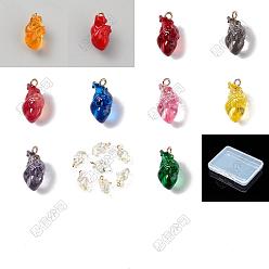 Mixed Color 12Pcs 12 Colors Transparent 3D Resin Pendants, Heart, with Iron Eye Pin, Mixed Color, 20.5~21.5x11.5~12.5x11~11.5mm, Hole: 2mm, 1pc/color