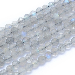 Labradorite Natural Labradorite Beads Strands, Faceted, Round, 4mm, Hole: 0.6mm, about 97pcs/strand, 15.35 inch(39cm)