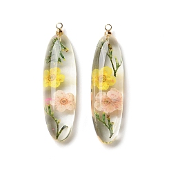 Colorful Inner Dried Flower Transparent Resin Pendants, with Brass Finding, Oval Charms, Colorful, 43.5x12x8mm, Hole: 1.8mm