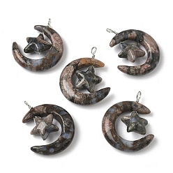Glaucophane Подвески из натурального глаукофана, луна со звездными чарами, с петлями из медной проволоки, платина, 36~37x27~28x7.5~8 мм, отверстие : 4 мм