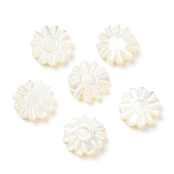Seashell Color Natural Trochid Shell/Trochus Shell Beads, Flower, Seashell Color, 10x9~10x2.5mm, Hole: 0.9mm