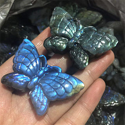 Butterfly Dyed Natural Labradorite Carved Display Decorations, Figurine Home Decoration, Reiki Energy Stone for Healing, Butterfly, 40~60mm