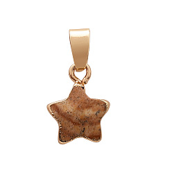 Picture Jasper Natural Picture Jasper Faceted Star Charms, with Golden Plated Brass Findings, 13x13mm