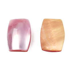 Pink Natural Turbo Cornulus/Top Shells Cabochons, with Acrylic and Yellow Shell, Dyed, Rectangle, Pink, 18x12.5x4~5mm
