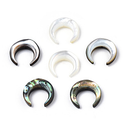 Mixed Shell Natural Shell Bead sets, Including Black Lip Shell & Abalone Shell/Paua Shell & White Shell, Crescent Moon, 13x13x3mm, Hole: 0.8mm, about 6pcs/bag