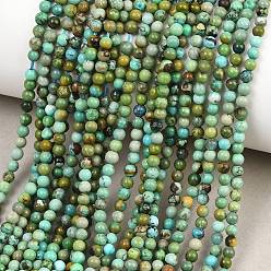 Бирюза из Хубэя Хубэй природных бирюзовый бисер нитей, гладкий круглый, 3 мм, отверстие : 0.6 мм, около 140~141 шт / нитка, 15.43'' (39.2 см) ~ 15.55'' (39.5 см)