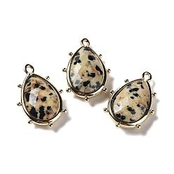 Далматинских Джаспер Природные яшмы далматин подвески, с кромкой из платиновой латуни, граненые, слеза, 22.5x14x5.5 мм, отверстие : 1.6 мм.