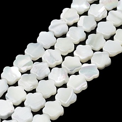 Snow Natural Trochus Shell Beads Strands, Flower, Snow, 9.5x10x3mm, Hole: 0.6mm, about 42~43pcs/strand, 15.75''(40cm)