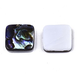Colorful Natural Abalone Shell/Paua Shell Cabochons, with Freshwater Shell, Square, Colorful, 10x10x3mm