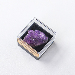 Amethyst Reiki Raw Natural Amethyst Cluster Nuggets Specime in Square Plastic Box, for Home Display Decoration, 32mm
