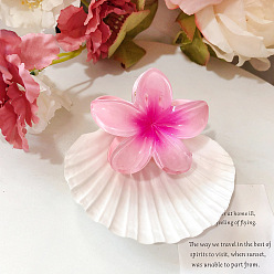 Rose pink 8cm Retro Colorful Flower Hair Clip Set for Updo Hairstyles and Showers