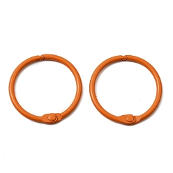 Сэнди Коричневый Окрашенные распылением железные кольца для папок-регистраторов с шарнирами, песчаный коричневый, 30.5x2.5 мм, внутренний диаметр: 25.5 мм