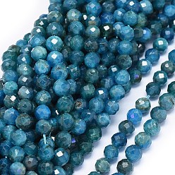 Apatite Natural Apatite Beads Strands, Faceted, Round, 5.5~6mm, Hole: 1mm, about 60pcs/strand, 15 inch(38.3cm)