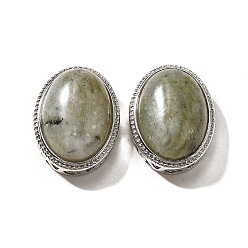 Лабрадорита Многорядные звенья из натурального лабрадорита, овальные, без кадмия и без свинца, платина, 21x16.5x11.5 мм, отверстие : 3 мм