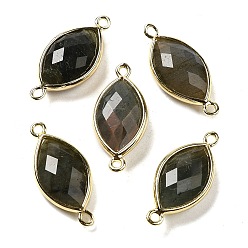 Labradorite Natural Labradorite Faceted Connector Charms, Rack Plating Brass Horse Eye Links, Golden, 25x11.5x5.5mm, Hole: 1.6mm
