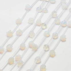 Opalite Perles opalite, rose, 10x5~9mm, Trou: 1mm