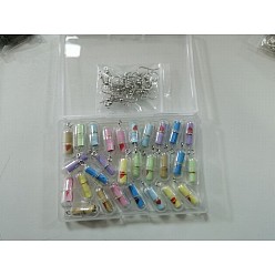 Couleur Mélangete Kits de fabrication de boucles d'oreilles sur le thème de la saint-valentin, inclure des pendentifs de bouteilles en plastique, Crochets d'oreille en laiton, couleur mixte, pendentifs: 29x10.5 mm, Trou: 1.5mm, 28 pcs / boîte