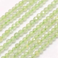 Prehnite Natural Prehnite Beads Strands, Faceted, Round, 3mm, Hole: 0.5mm, about 132pcs/strand, 15.7 inch(40cm)
