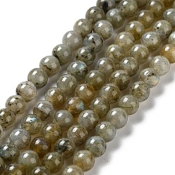Labradorite Natural Labradorite Beads Strands, Round, 6mm, Hole: 1.2mm, about 66pcs/strand, 15.94 inch(40.5cm)