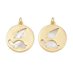 Turtle Природные подвески оболочки, латунные полые плоские круглые подвески с соединительными кольцами, реальный 18 k позолоченный, без свинца и без кадмия, долговечный, стойки покрытие, цвет морской раковины, черепаха, 23x20.5x2 мм, отверстие : 3.4 мм
