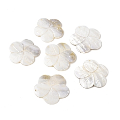 White Natural Freshwater Shell Big Pendants, Flower Charm, White, 69x70.5x5mm, Hole: 3.5mm