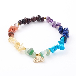 Mixed Stone Chakra Jewelry, Chip Gemstone Stretch Charm Bracelets, with Brass Lotus Charms and Non-magnetic Synthetic Hematite Beads, Golden, Inner Diameter: 2-1/8 inch(5.5cm)