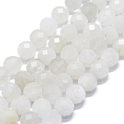 Rainbow Moonstone Brins de perles de pierre de lune arc-en-ciel naturel, à facettes (64 facettes), ronde, 6mm, Trou: 0.8mm, Environ 62~67 pcs/chapelet, 15.16~15.55 pouce (38.5~39.5 cm)