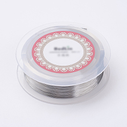 Stainless Steel Color Steel Wire, Stainless Steel Color, 0.1mm, 38 Gauge, 800m/roll