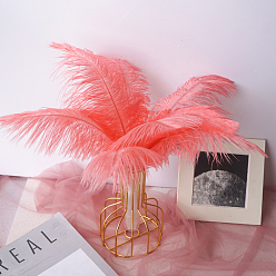 Salmon Ostrich Feather Ornament Accessories, for DIY Costume, Hair Accessories, Backdrop Craft, Salmon, 200~250mm