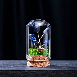Lapis Lazuli Natural Lapis Lazuli Display Decorations, Miniature Plants, with Glass Cloche Bell Jar Terrarium and Cork Base, Tree, 30x57mm