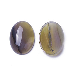 Natural Agate Natural Agate Cabochons, Oval, 30x22x7~8mm